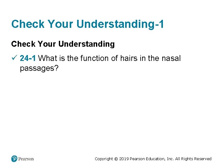 Check Your Understanding-1 Check Your Understanding ü 24 -1 What is the function of