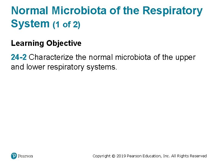 Normal Microbiota of the Respiratory System (1 of 2) Learning Objective 24 -2 Characterize