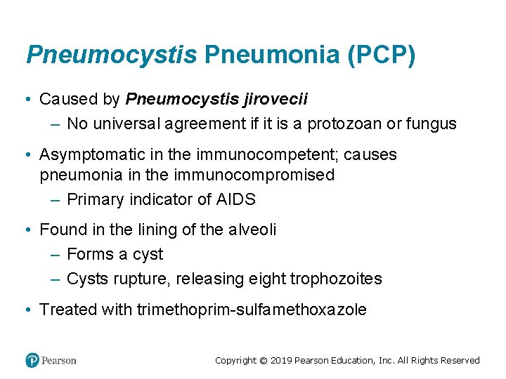 Pneumocystis Pneumonia (PCP) • Caused by Pneumocystis jirovecii – No universal agreement if it
