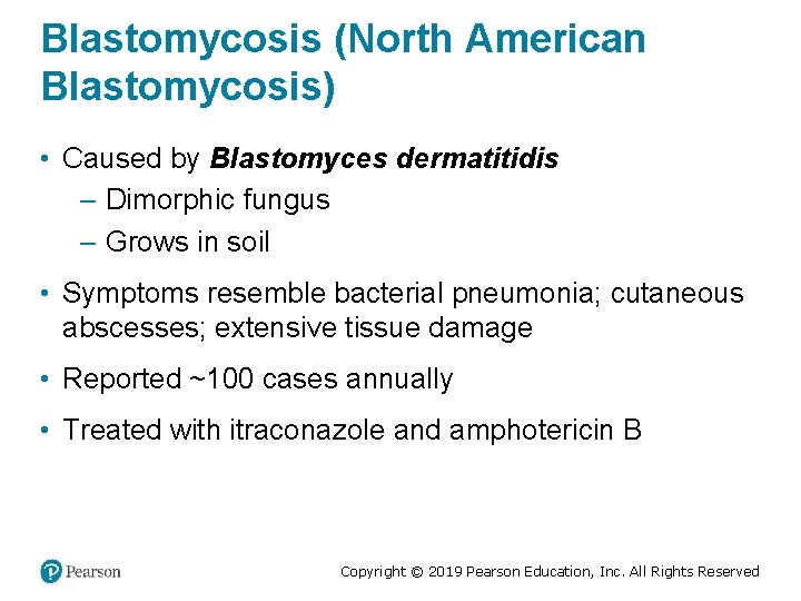 Blastomycosis (North American Blastomycosis) • Caused by Blastomyces dermatitidis – Dimorphic fungus – Grows