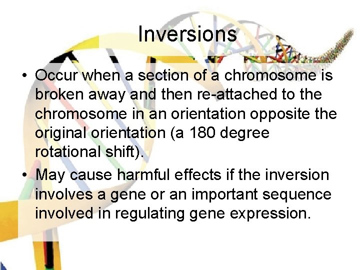Inversions • Occur when a section of a chromosome is broken away and then