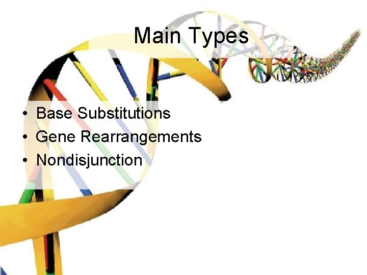 Main Types • Base Substitutions • Gene Rearrangements • Nondisjunction 