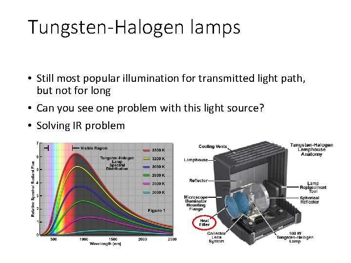 Tungsten-Halogen lamps • Still most popular illumination for transmitted light path, but not for