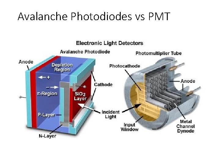 Avalanche Photodiodes vs PMT 