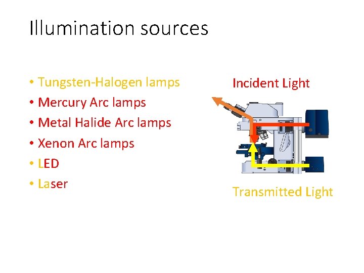 Illumination sources • Tungsten-Halogen lamps • Mercury Arc lamps • Metal Halide Arc lamps
