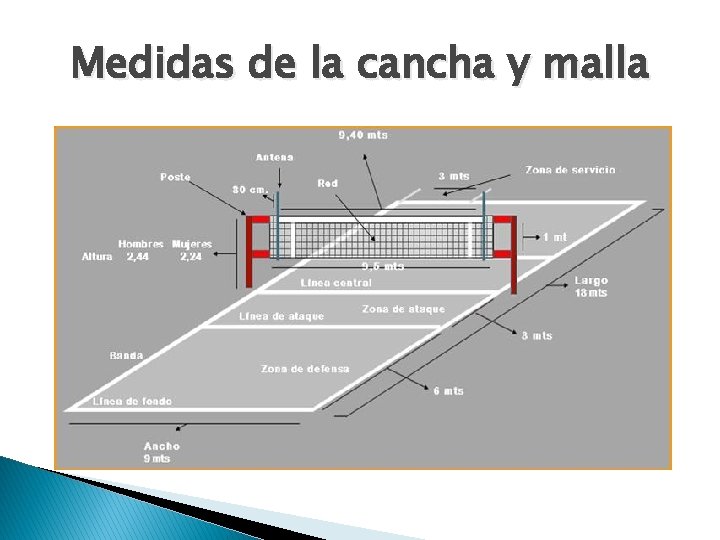 Medidas de la cancha y malla 