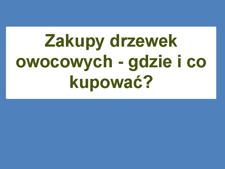 Zakupy drzewek owocowych - gdzie i co kupować? 