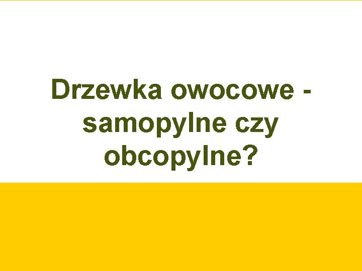 Drzewka owocowe samopylne czy obcopylne? 