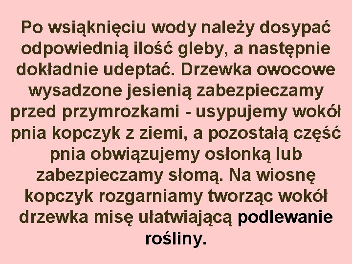 Po wsiąknięciu wody należy dosypać odpowiednią ilość gleby, a następnie dokładnie udeptać. Drzewka owocowe