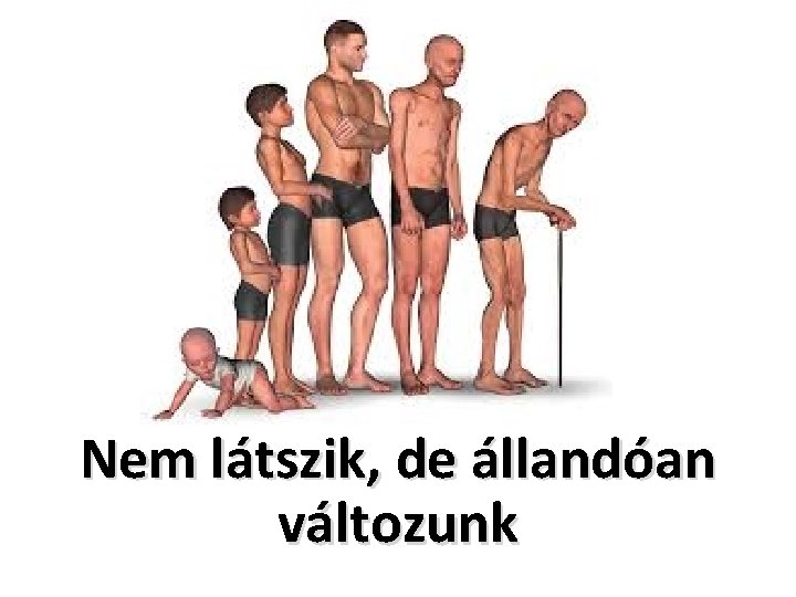 Nem látszik, de állandóan változunk 