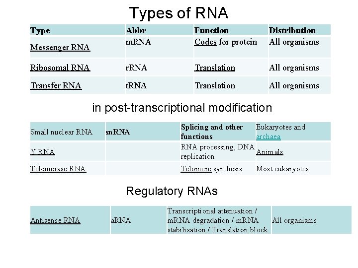 Types of RNA Type Abbr m. RNA Function Codes for protein Distribution All organisms