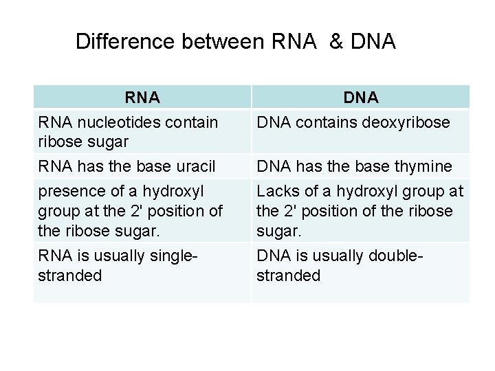 Difference between RNA & DNA RNA nucleotides contain ribose sugar DNA contains deoxyribose RNA