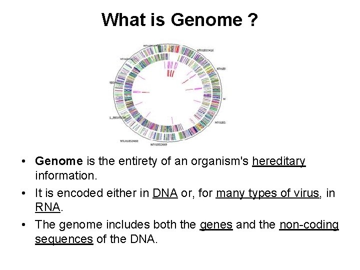 What is Genome ? • Genome is the entirety of an organism's hereditary information.