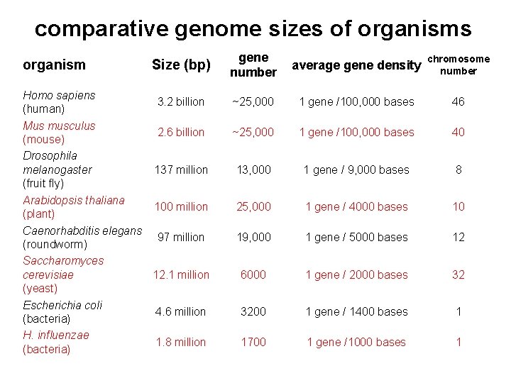 comparative genome sizes of organisms organism Size (bp) Homo sapiens 3. 2 billion (human)