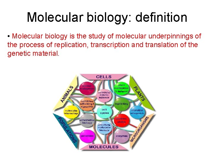 Molecular biology: definition • Molecular biology is the study of molecular underpinnings of the