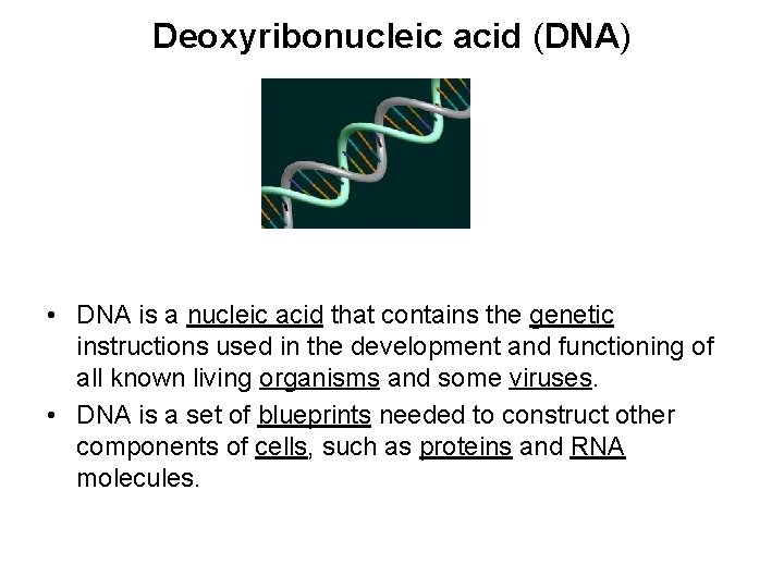 Deoxyribonucleic acid (DNA) • DNA is a nucleic acid that contains the genetic instructions