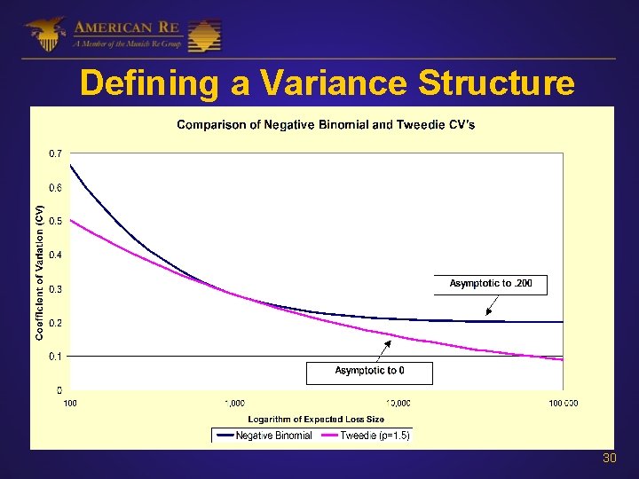 Defining a Variance Structure 30 