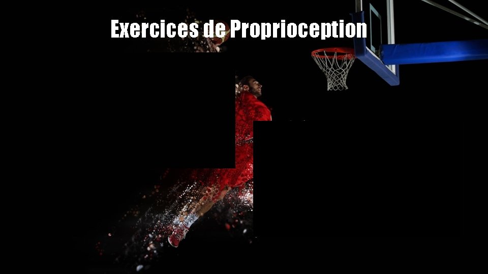 Exercices de Proprioception 