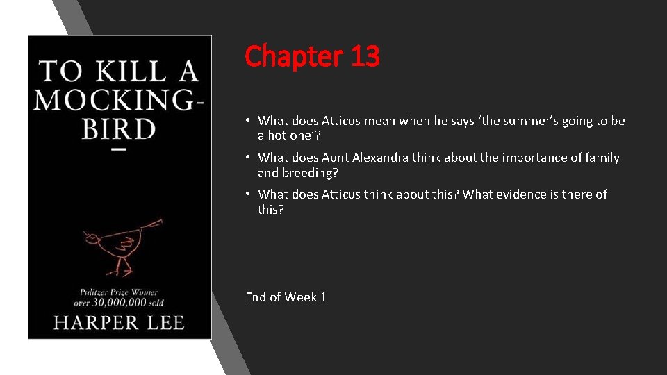 Chapter 13 • What does Atticus mean when he says ‘the summer’s going to