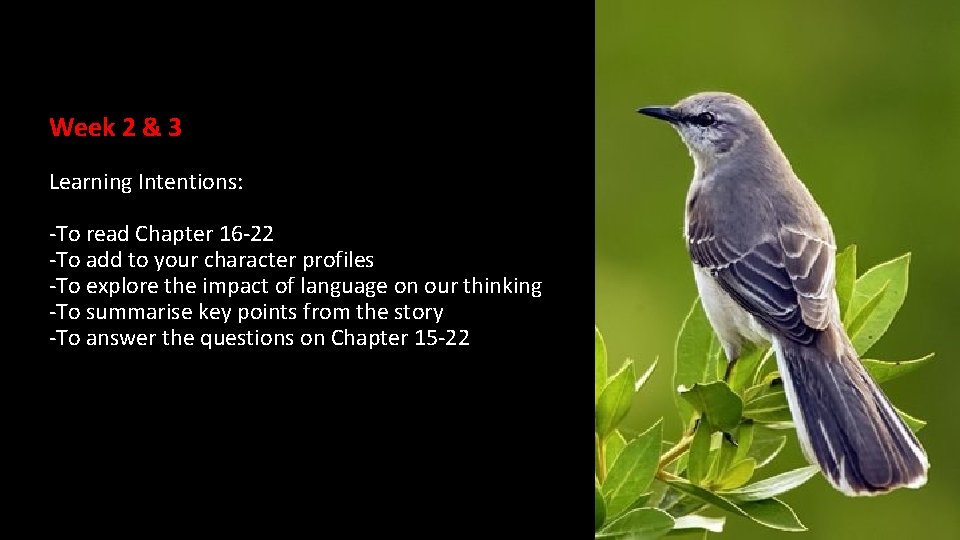 Week 2 & 3 Learning Intentions: -To read Chapter 16 -22 -To add to