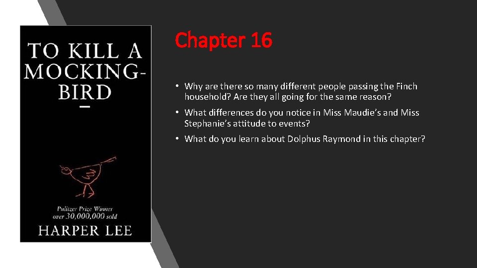 Chapter 16 • Why are there so many different people passing the Finch household?