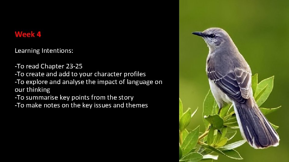 Week 4 Learning Intentions: -To read Chapter 23 -25 -To create and add to