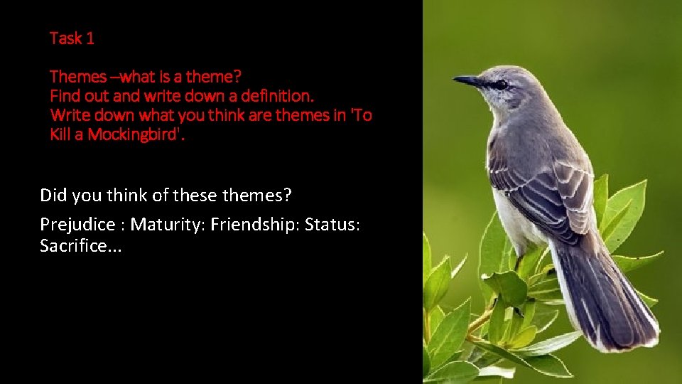Task 1 Themes –what is a theme? Find out and write down a definition.