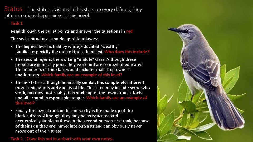 Status : The status divisions in this story are very defined, they influence many