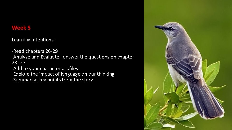 Week 5 Learning Intentions: -Read chapters 26 -29 -Analyse and Evaluate - answer the