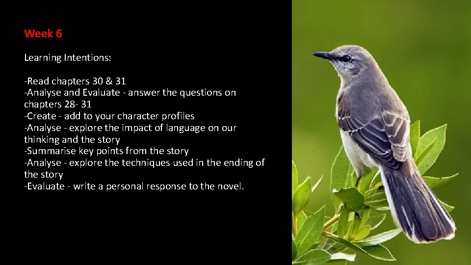 Week 6 Learning Intentions: -Read chapters 30 & 31 -Analyse and Evaluate - answer