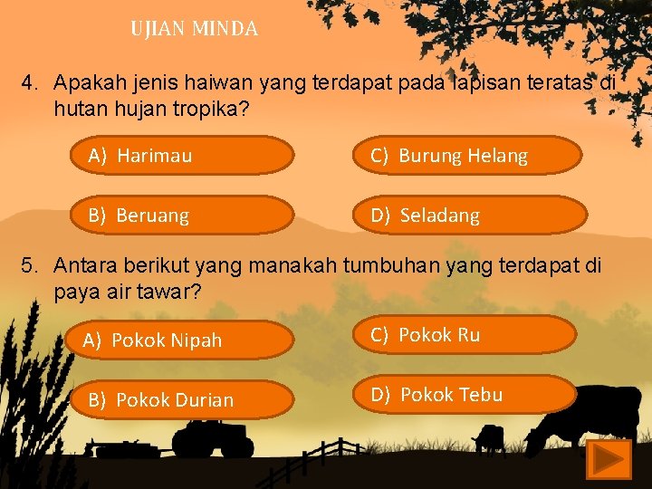 UJIAN MINDA 4. Apakah jenis haiwan yang terdapat pada lapisan teratas di hutan hujan