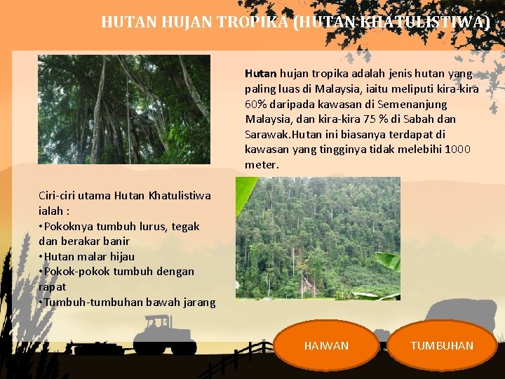 HUTAN HUJAN TROPIKA (HUTAN KHATULISTIWA) Hutan hujan tropika adalah jenis hutan yang paling luas