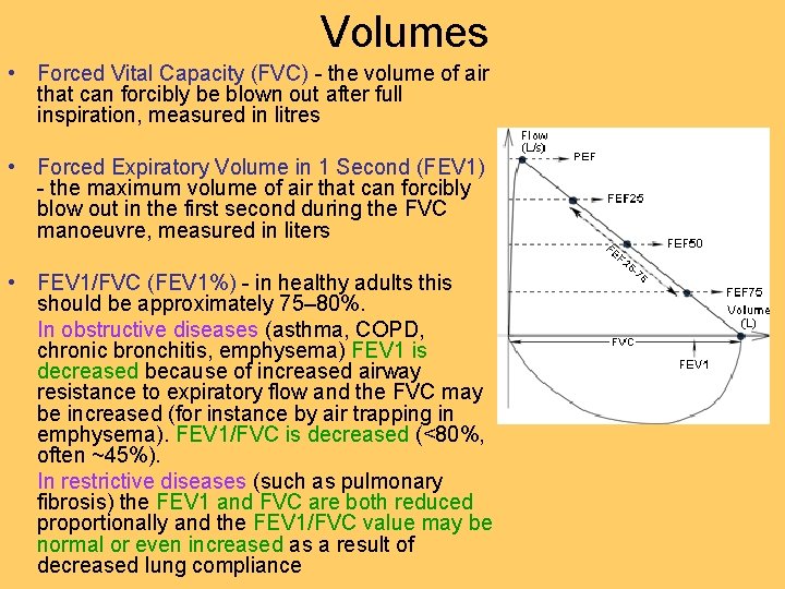 Volumes • Forced Vital Capacity (FVC) - the volume of air that can forcibly Volumes • Forced Vital Capacity (FVC) - the volume of air that can forcibly