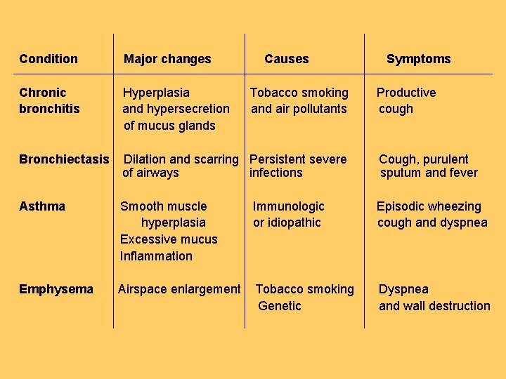 Condition Major changes Causes Chronic bronchitis Hyperplasia and hypersecretion of mucus glands Bronchiectasis Dilation Condition Major changes Causes Chronic bronchitis Hyperplasia and hypersecretion of mucus glands Bronchiectasis Dilation