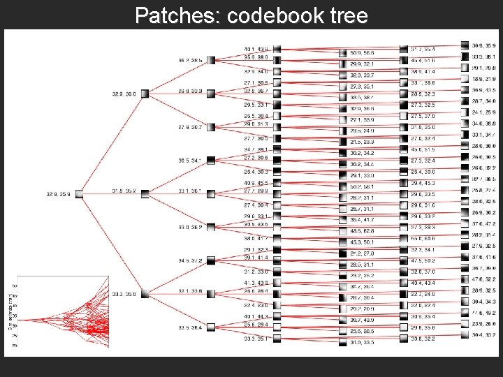 Patches: codebook tree 