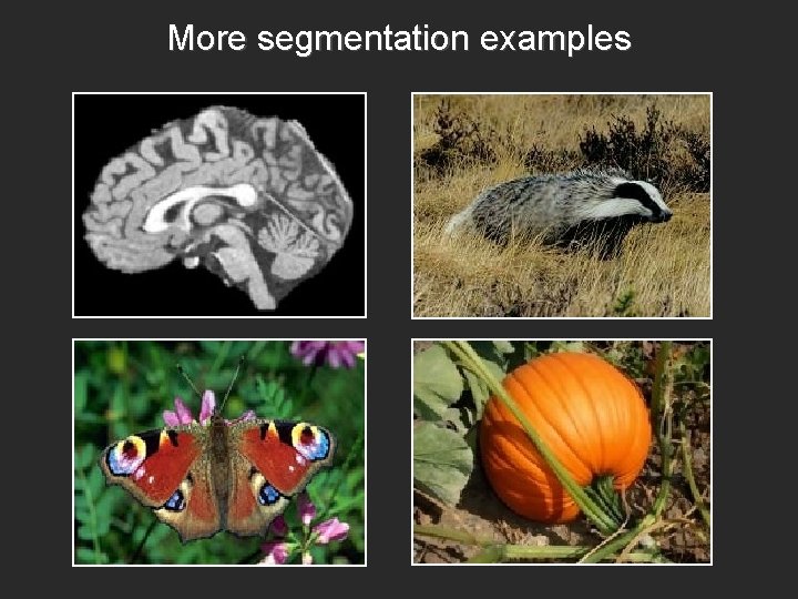 More segmentation examples 