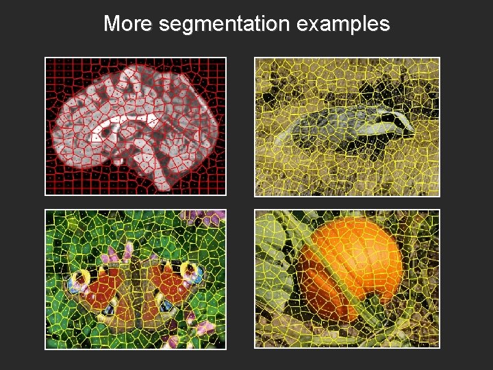 More segmentation examples 