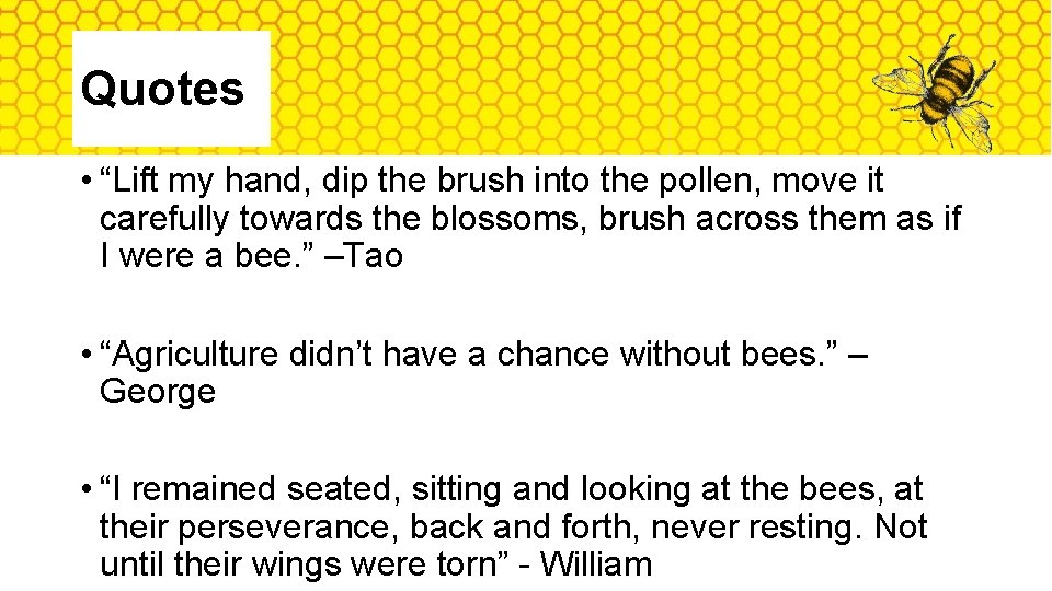 Quotes • “Lift my hand, dip the brush into the pollen, move it carefully