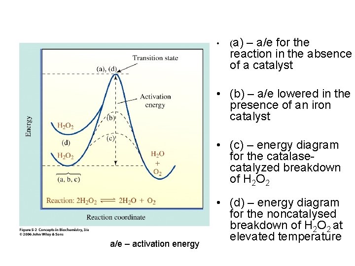  • (a) – a/e for the reaction in the absence of a catalyst