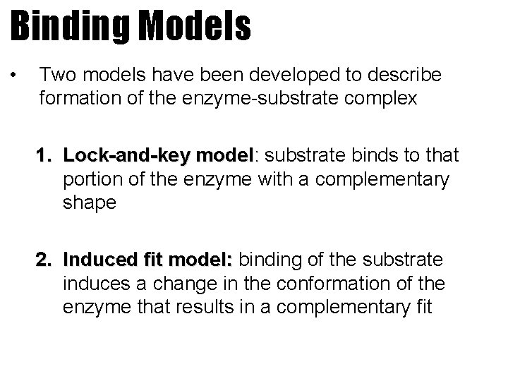 Binding Models • Two models have been developed to describe formation of the enzyme-substrate
