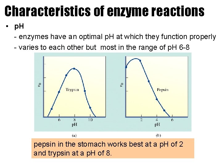 Characteristics of enzyme reactions • p. H - enzymes have an optimal p. H