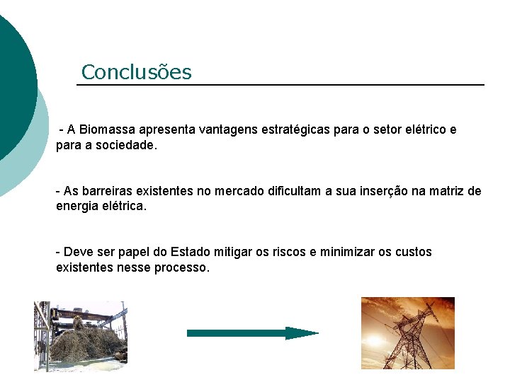Conclusões - A Biomassa apresenta vantagens estratégicas para o setor elétrico e para a