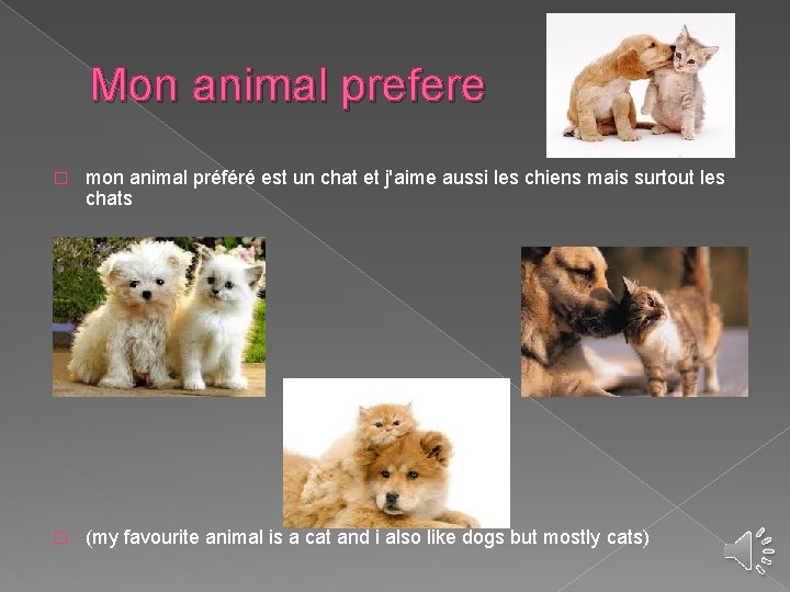 Mon animal prefere � mon animal préféré est un chat et j'aime aussi les