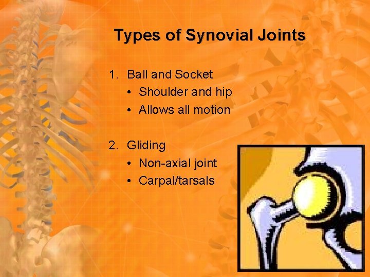 Types of Synovial Joints 1. Ball and Socket • Shoulder and hip • Allows Types of Synovial Joints 1. Ball and Socket • Shoulder and hip • Allows