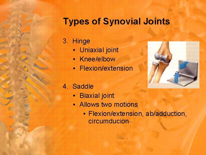Types of Synovial Joints 3. Hinge • Uniaxial joint • Knee/elbow • Flexion/extension 4. Types of Synovial Joints 3. Hinge • Uniaxial joint • Knee/elbow • Flexion/extension 4.
