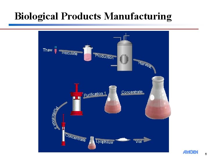 Biological Products Manufacturing 6 