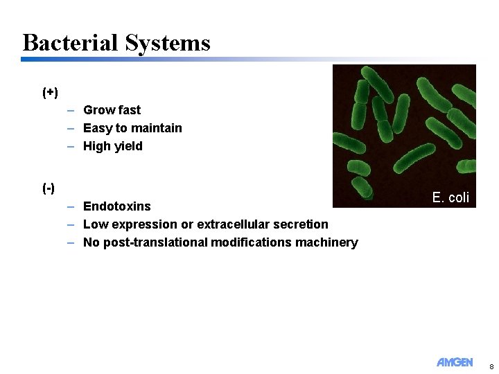Bacterial Systems (+) – Grow fast – Easy to maintain – High yield (-)