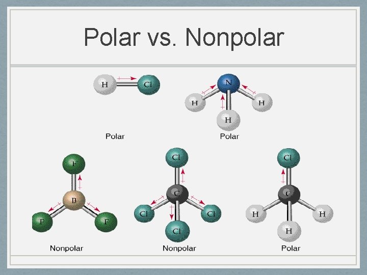 Polar vs. Nonpolar 