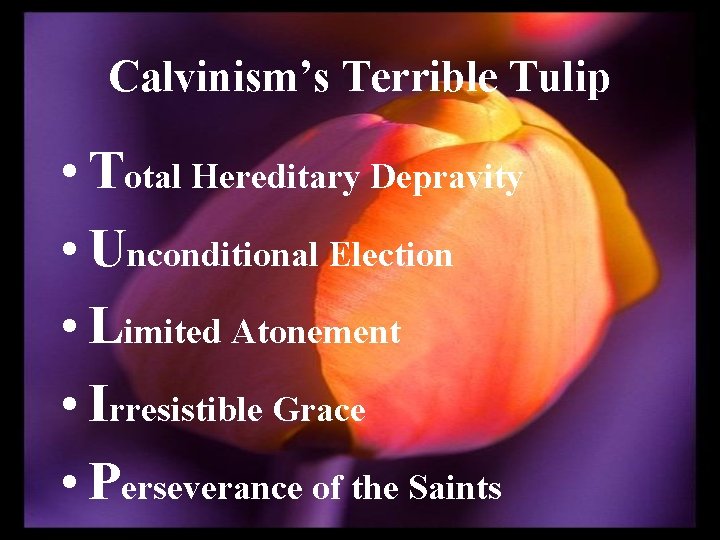 Calvinism’s Terrible Tulip • Total Hereditary Depravity • Unconditional Election • Limited Atonement •