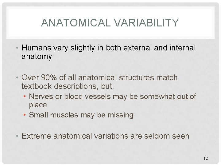ANATOMICAL VARIABILITY • Humans vary slightly in both external and internal anatomy • Over